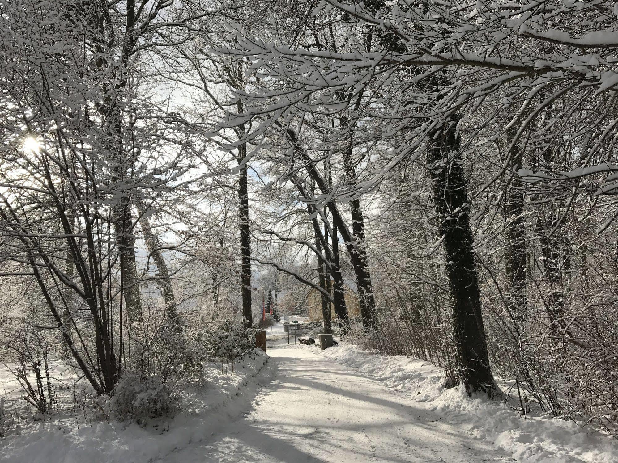 Turmvilla Bad Muskau Exteriér fotografie